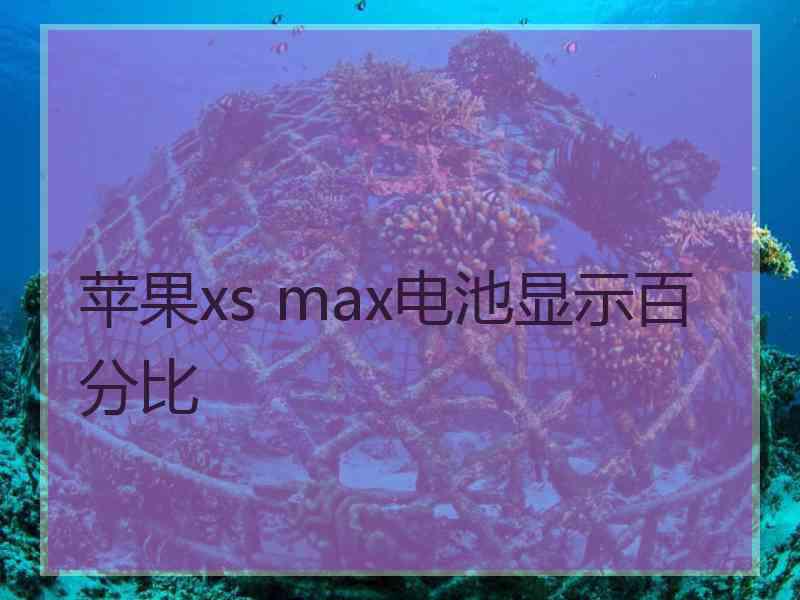 苹果xs max电池显示百分比