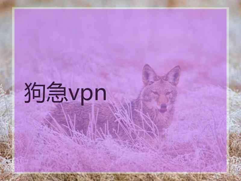 狗急vpn