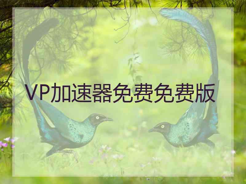 VP加速器免费免费版