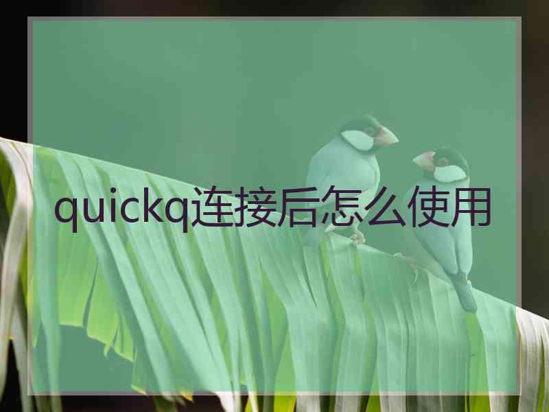 quickq连接后怎么使用