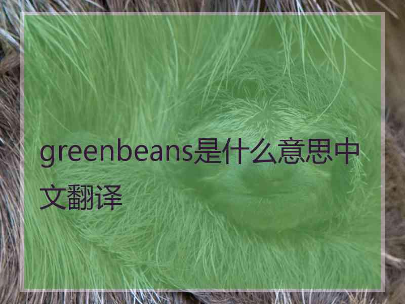 greenbeans是什么意思中文翻译