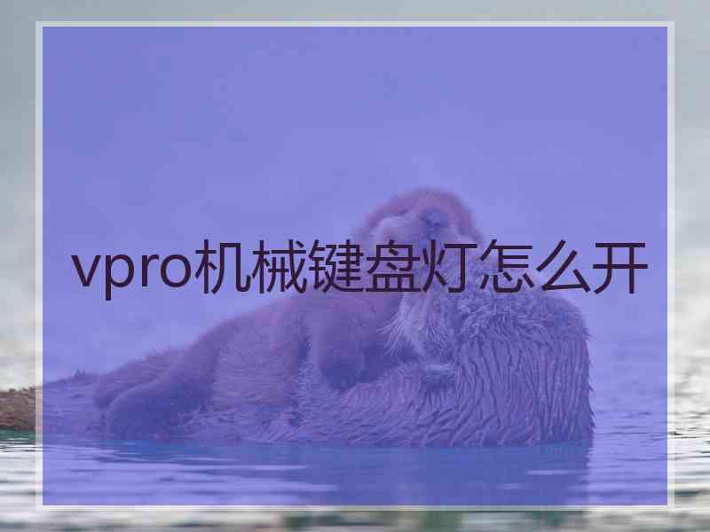 vpro机械键盘灯怎么开