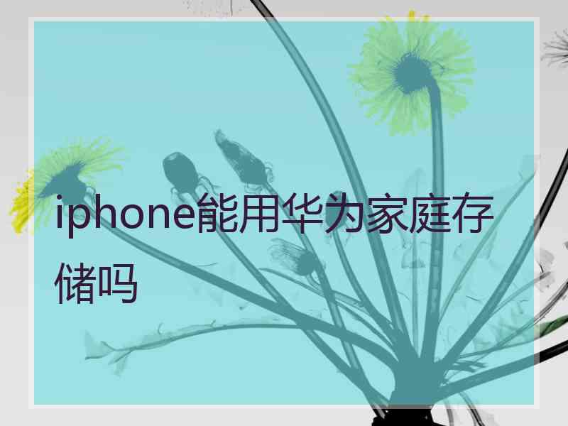 iphone能用华为家庭存储吗