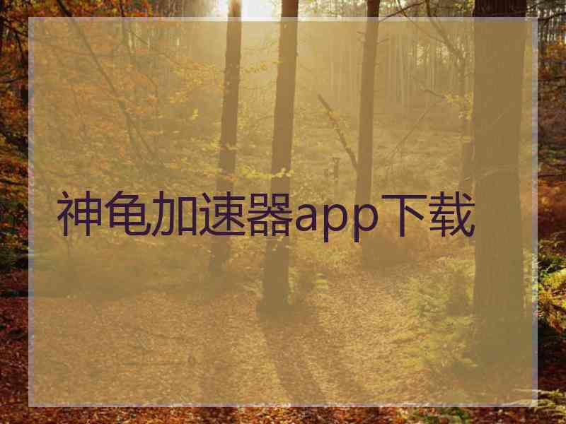 神龟加速器app下载