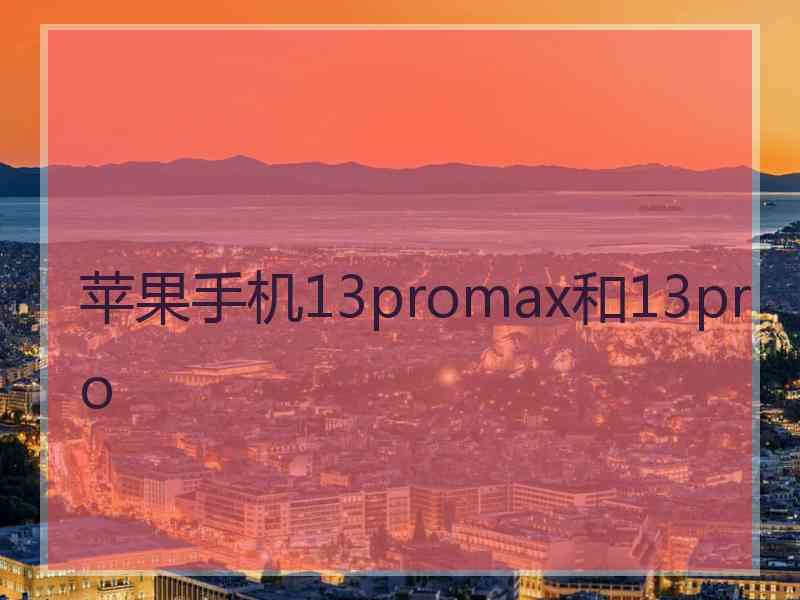 苹果手机13promax和13pro