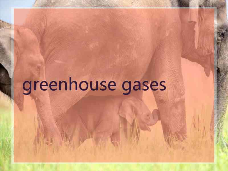 greenhouse gases