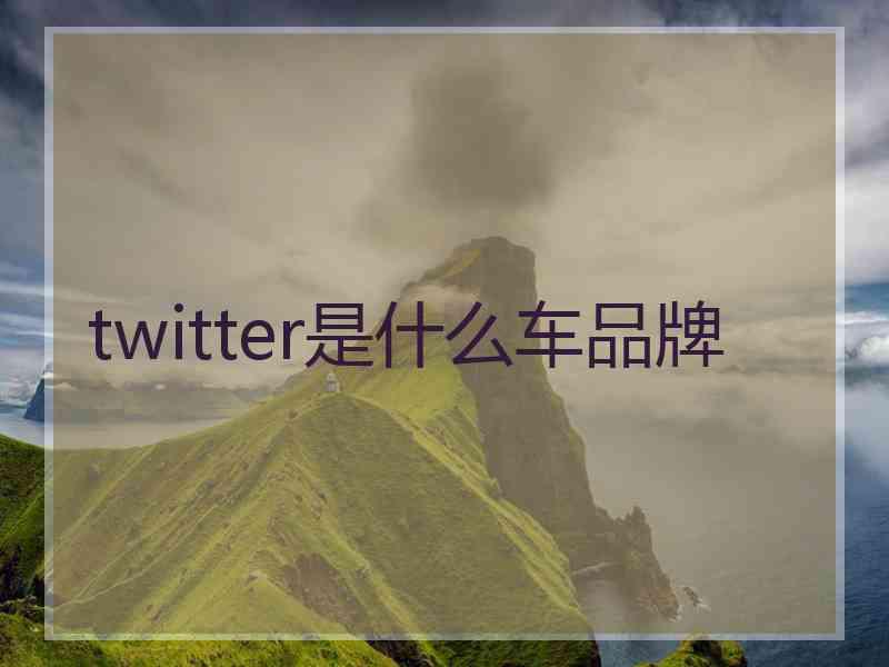 twitter是什么车品牌