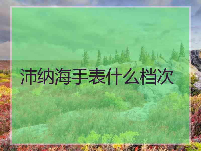 沛纳海手表什么档次