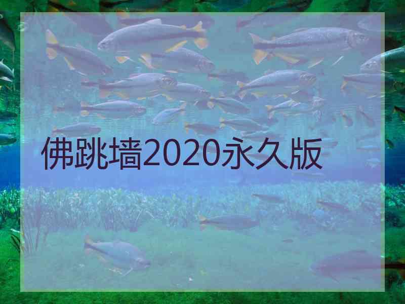 佛跳墙2020永久版