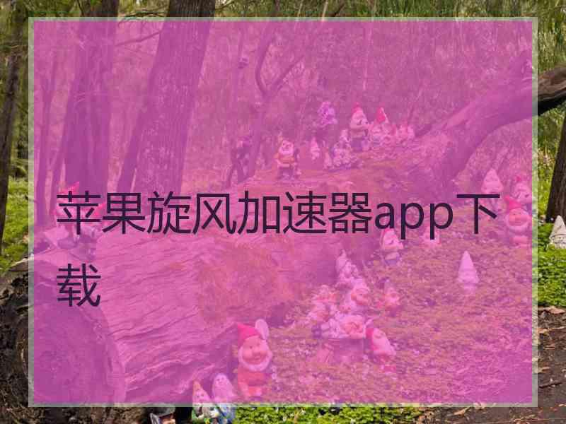 苹果旋风加速器app下载