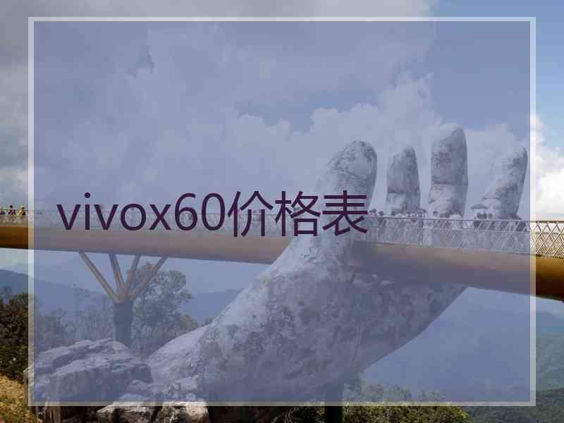 vivox60价格表