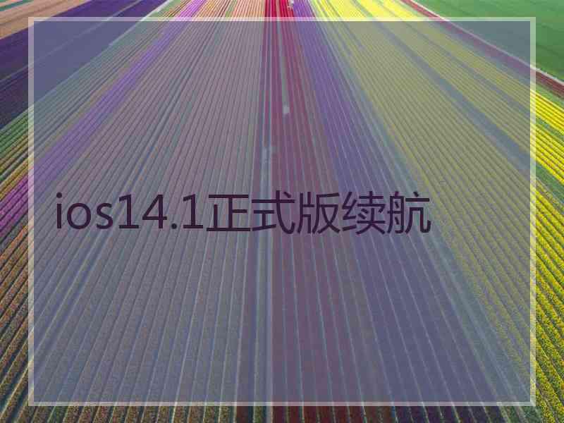 ios14.1正式版续航