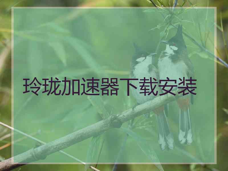 玲珑加速器下载安装