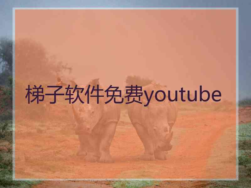 梯子软件免费youtube