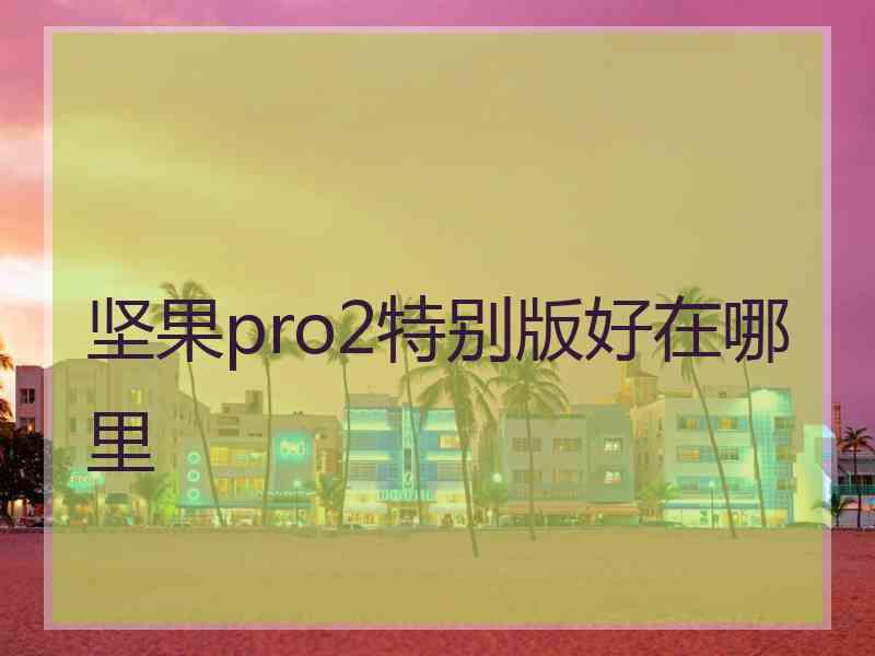 坚果pro2特别版好在哪里