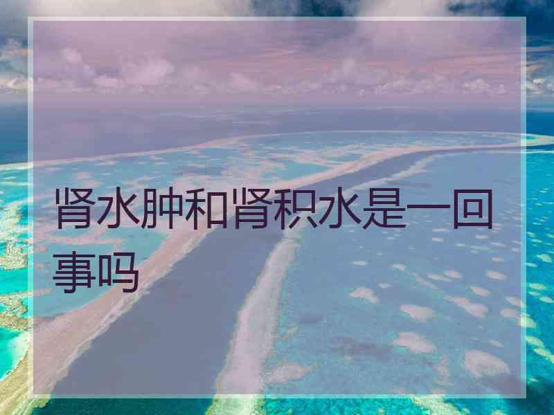 肾水肿和肾积水是一回事吗