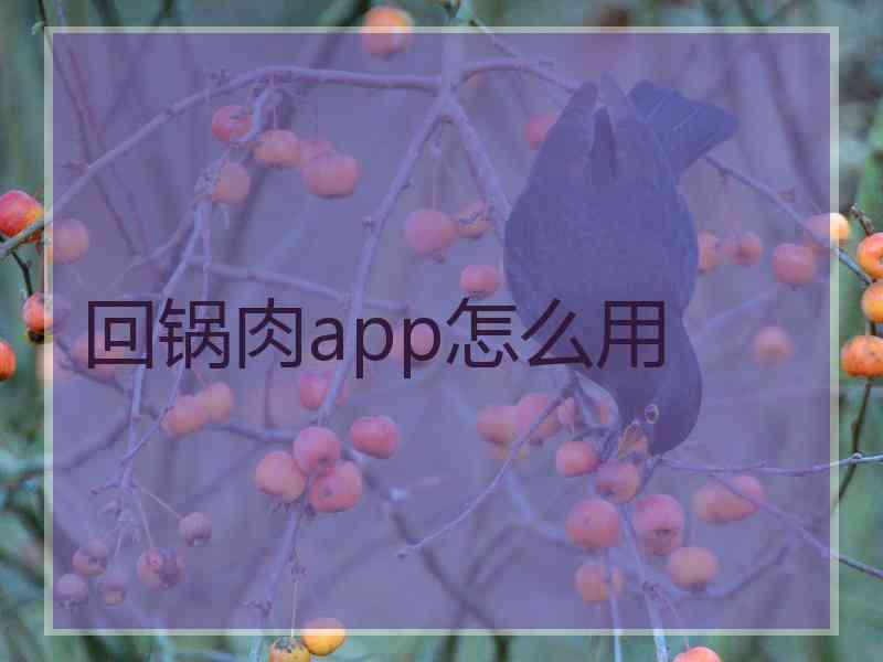 回锅肉app怎么用