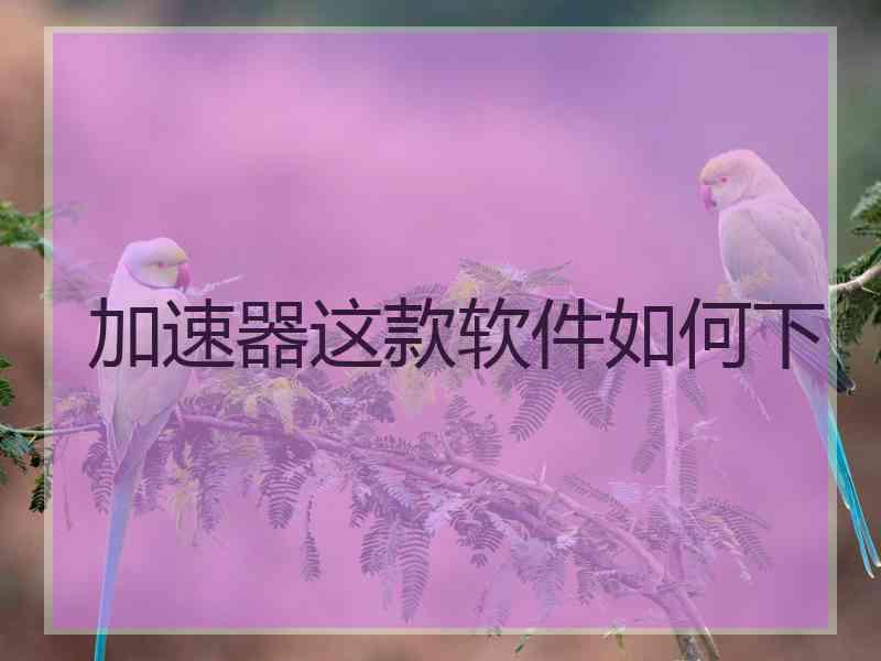 加速器这款软件如何下