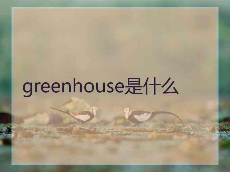 greenhouse是什么