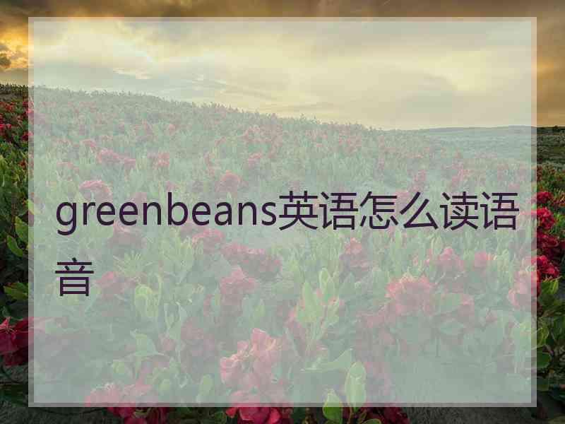 greenbeans英语怎么读语音