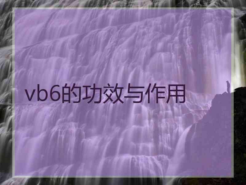 vb6的功效与作用