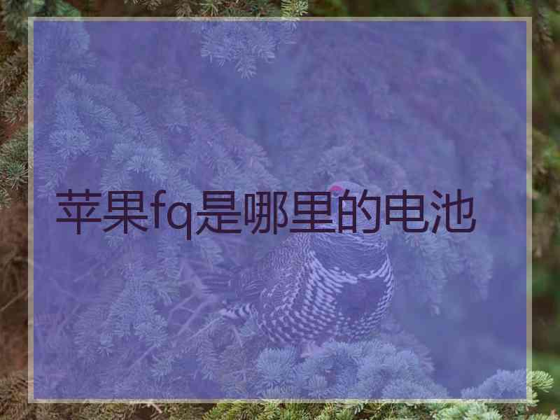 苹果fq是哪里的电池