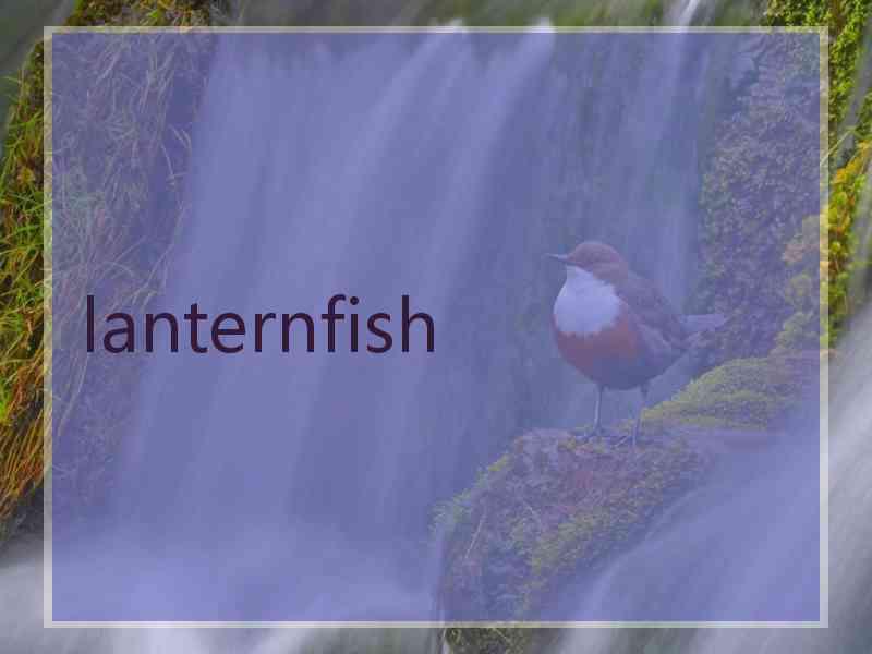 lanternfish