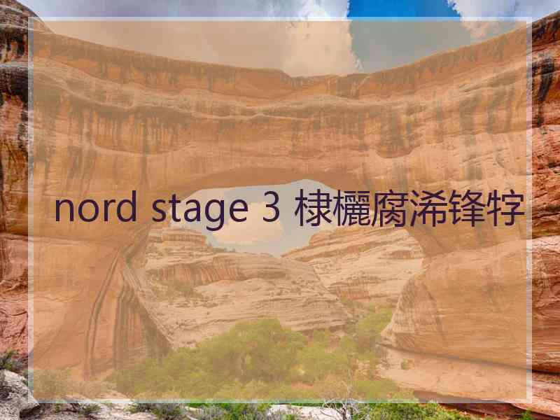 nord stage 3 棣欐腐浠锋牸