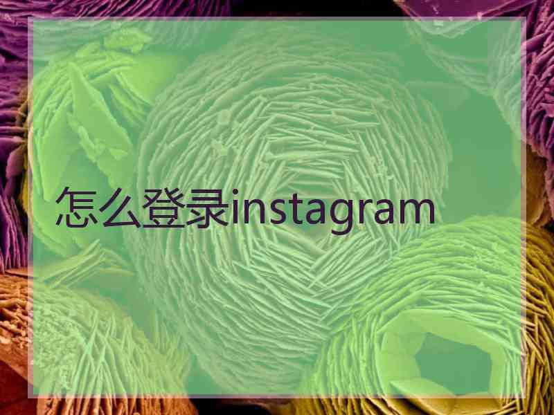 怎么登录instagram