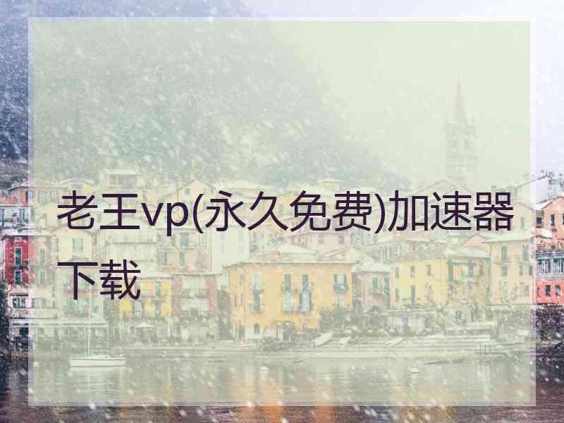 老王vp(永久免费)加速器下载