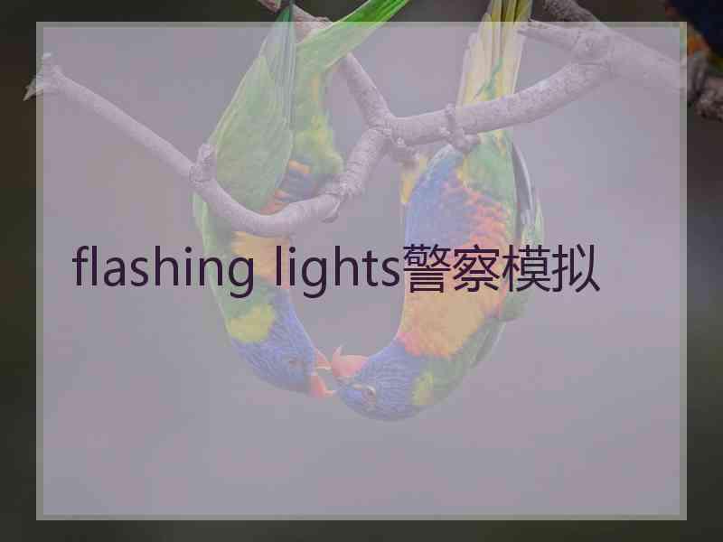 flashing lights警察模拟