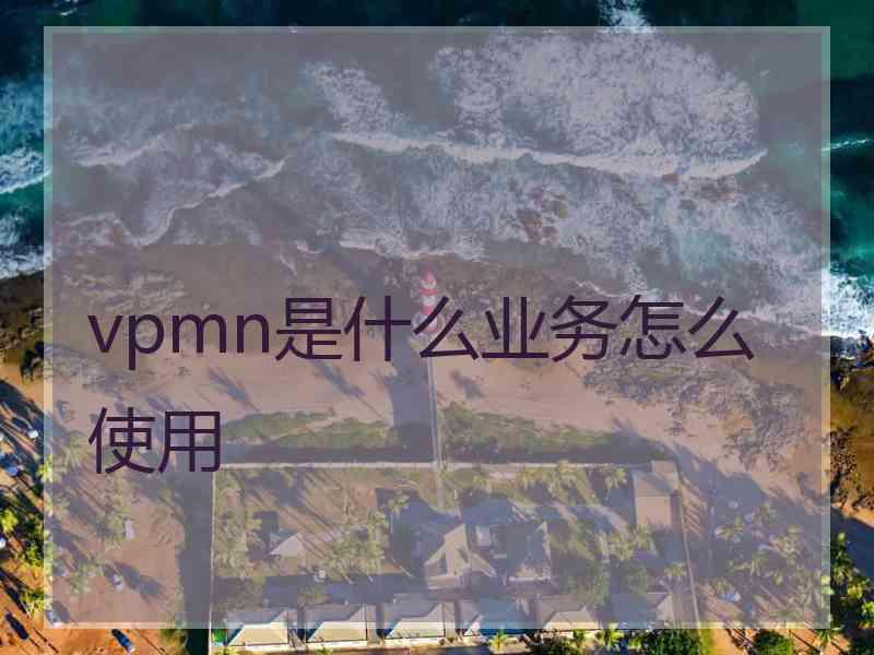 vpmn是什么业务怎么使用