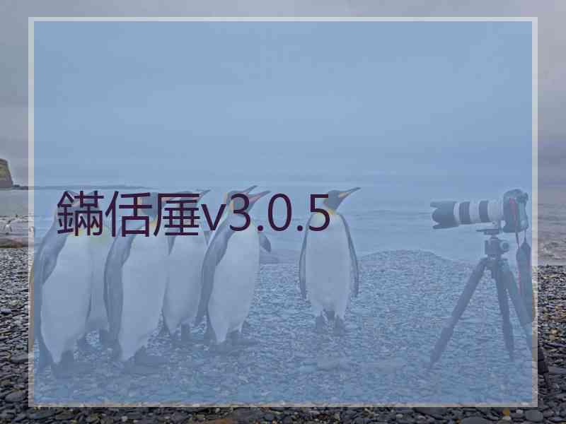 鏋佸厜v3.0.5