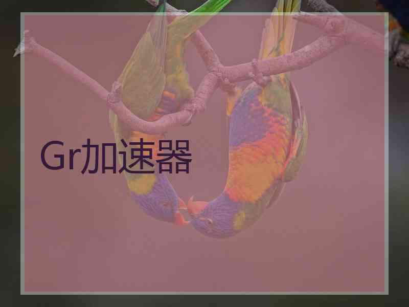 Gr加速器