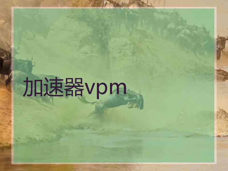 加速器vpm