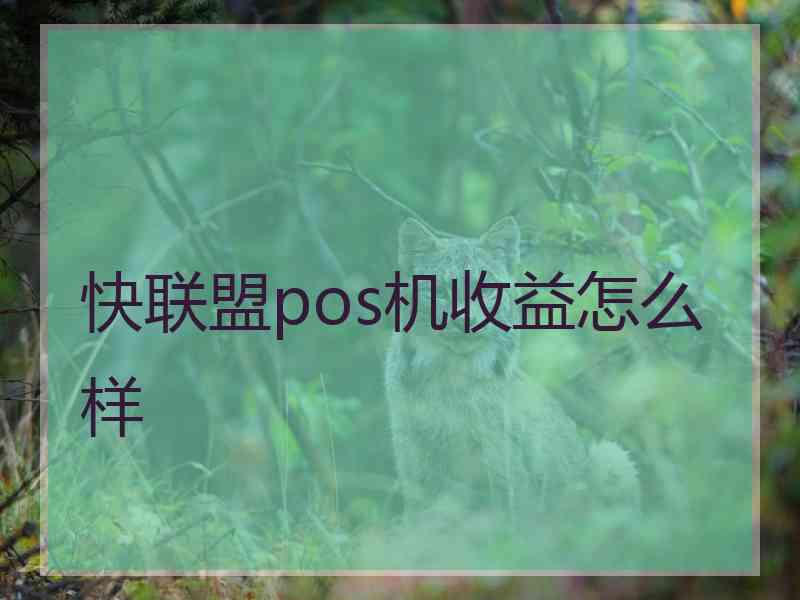 快联盟pos机收益怎么样