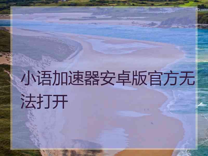 小语加速器安卓版官方无法打开