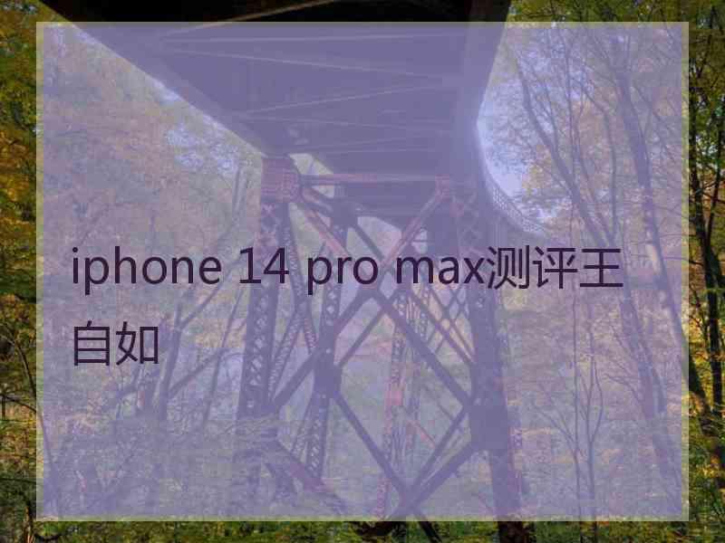 iphone 14 pro max测评王自如