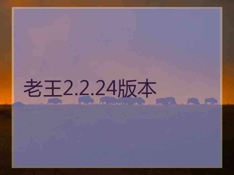 老王2.2.24版本