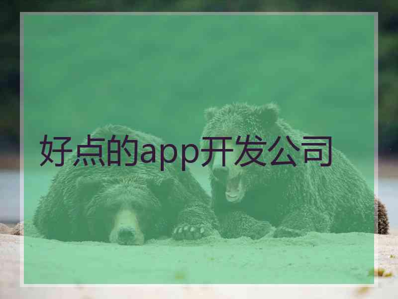 好点的app开发公司