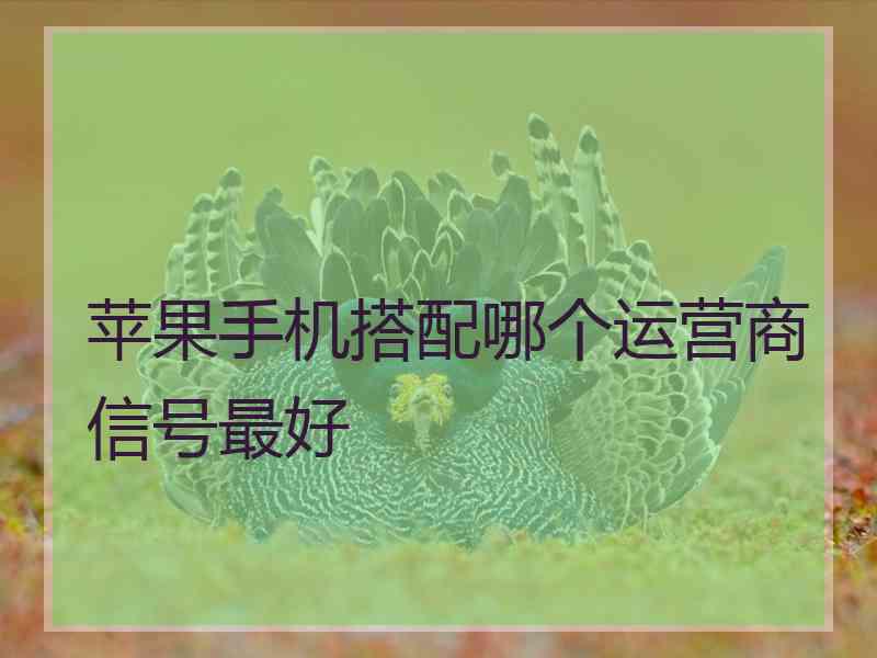 苹果手机搭配哪个运营商信号最好