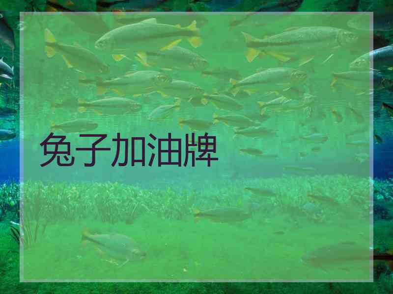 兔子加油牌