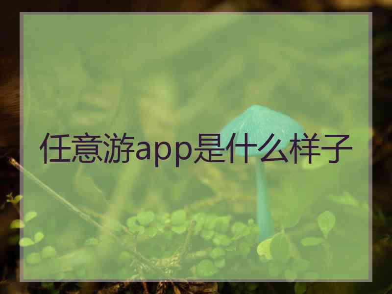 任意游app是什么样子