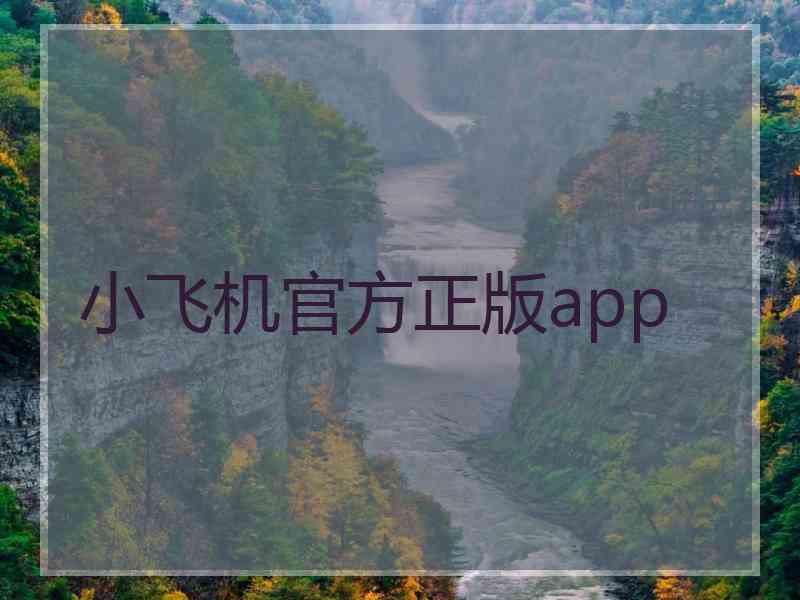 小飞机官方正版app