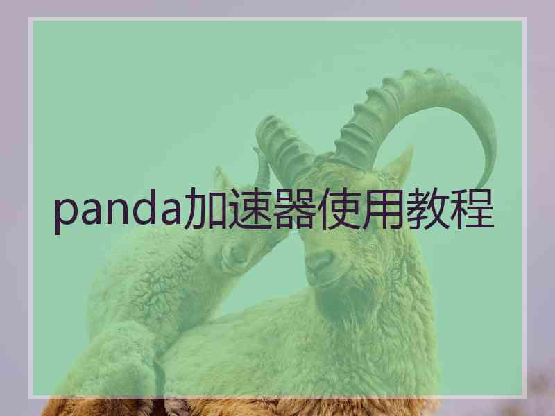 panda加速器使用教程