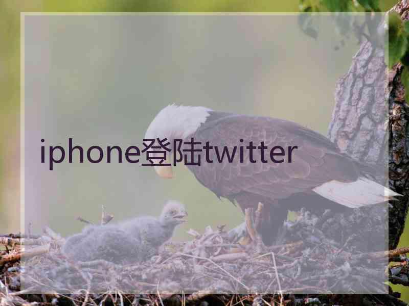 iphone登陆twitter