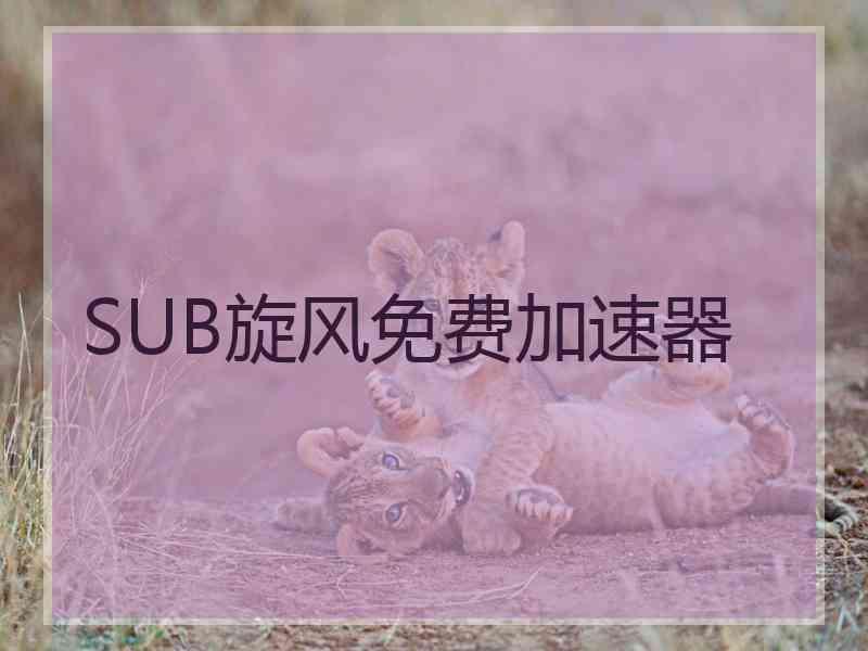 SUB旋风免费加速器