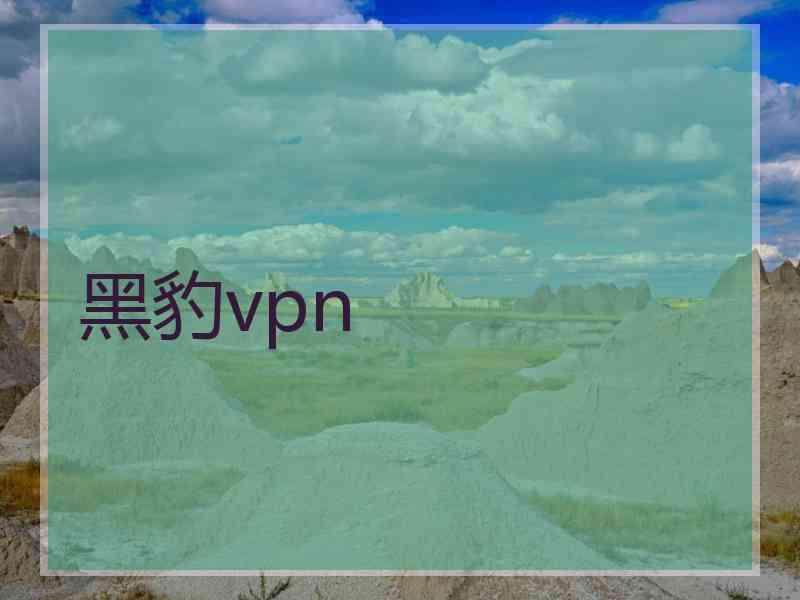 黑豹vpn