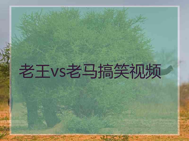 老王vs老马搞笑视频