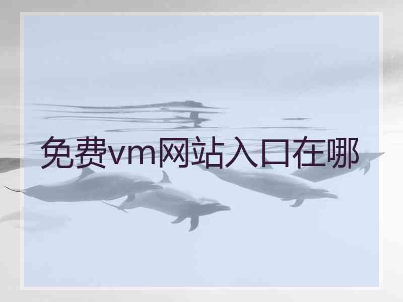 免费vm网站入口在哪